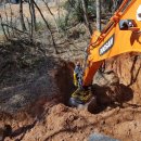 일광농장 이미지