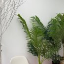 팍스플래닛