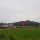 마도면 버스정류장 이미지