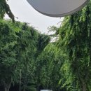 분당-321 이미지