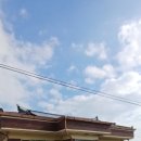 저동마을회관 이미지