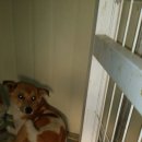 낙동북로 이미지