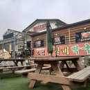 강촌->SBS 이미지