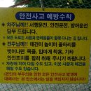 햇살농원 애견 이미지