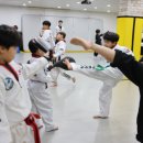 용인대 안산 타이거즈 태권도장 이미지