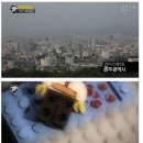 재미로 친동생의 목을 도끼로 내려친 14살 이미지