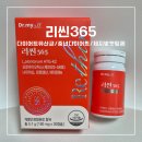 365 | 중년다이어트 체지방 컷팅제 리씬365 다이어트 유산균 후기