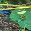 더쎈제주영어교육도시공인중개사사무소 이미지