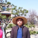 양정달마루마을 이미지