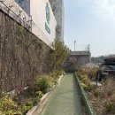 오복건어물 | 속초 바다뷰 카페 바다정원 아기랑 방문한 내돈내산 후기(반려견 동반 가능)