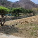 개울건너 이미지