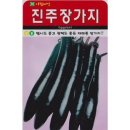 진주장 이미지