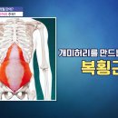 ＜진실게임 진짜! 가짜?＞ 허리둘레의 비밀! 이미지