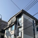 쥬쥬살롱 | 신사역미용실 코르브 강하라 디자이너님 웨딩염색 커트 대만족 후기