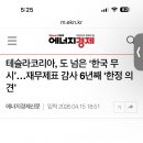 테슬라코리아 유한회사 | 유한회사 테슬라코리아, “한국회계 나몰라라” ㅋㅋ