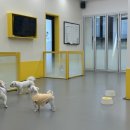 세심유치원 이미지