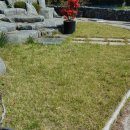 한일농장 이미지