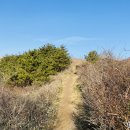 한라산을바라보는쉼터 이미지