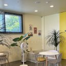 카페달디 이미지