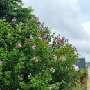 석곡마을회관 이미지