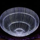 마카오게임장 이미지