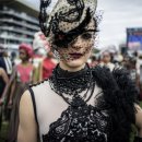 그레이빌 이미지