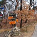 부소산성 낙화암 갈림길 이미지