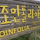 토분하나나무한그루 | 파주 조인폴리아 정글가든센터 다녀온 후기, 식물 쇼핑과 힐링이 한곳에 있는 파주 가볼만한곳