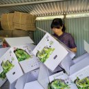 죽청농장 이미지