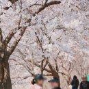 종합버스터미널 건너편 이미지