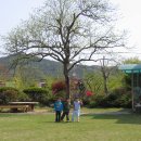 원광어린이집 앞 이미지