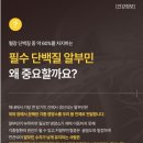 이선 카카오 검색결과