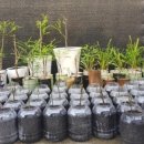 호산농원 이미지