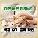 대전 애견 장례식장, 화장 비용과 후기까지 차분히 확인