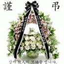 과역-1호 Daum카페