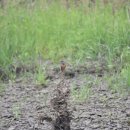 매일목욕탕 이미지