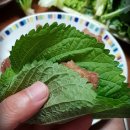 햇잎갈비 | 스트릿테이블 갈비도시락 &amp; 햇잎갈비 이용 후기