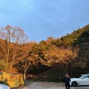 + 대구 동구 도심 속 캠핑장_ 용암산성 오토캠핑장 파쇄석14번 후기