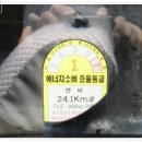 [판매완료]93년식 에어컨 없는 민자 수동5단 은색 20여년 함께 한 티코를 보냅니다.^^ 이미지