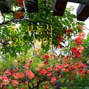단지안명문공인중개사사무소 네이버블로그