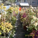 천일토굴새우젓 이미지