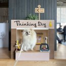 펫 패밀리 | 소노펫 비발디파크 패밀리 스탠다드룸 후기, 강아지 동반 + 3개월 아기랑 연휴 가족여행