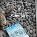 영주주단 | 여성 디아스포라 3부작 , 이금이 장편소설 <슬픔의 틈새>