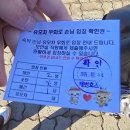 CU덕진경기장점 | 에버랜드 홈브리지 캐빈호스텔 신관 내돈내산 후기