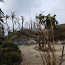 클로리스 이미지