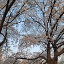 선바위역 5번 출구 이미지