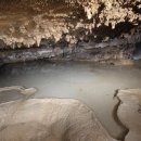 산호동509 이미지