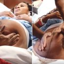 자연속의 펫 이미지