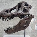 서대문세무서 공중화장실 | [공룡을 좋아하는 아이라면] 서대문자연사박물관 여러차례 방문 후기 - 공룡만 소개편