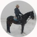 훼밀리승마클럽 이미지